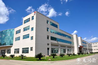 昆明龍潤(rùn)茶葉生產(chǎn)中心的網(wǎng)絡(luò)技術(shù)服務(wù) 數(shù)字化轉(zhuǎn)型中的茶業(yè)新引擎